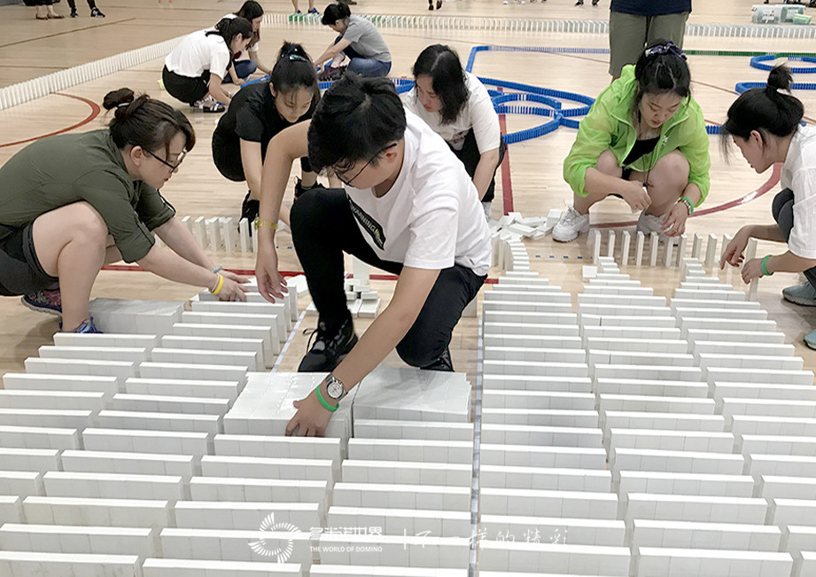 拜耳多米諾團隊大挑戰(zhàn)